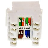 Oem Keystone RJ45 UTP 6 (krone) v2 Cene