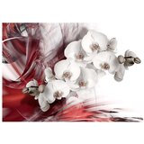  Tapeta - Orchid in red 200x140 | shoptok.hr