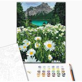  Slika za samostalno slikanje - Chamomiles in a mountain valley 40x50 | shoptok.hr