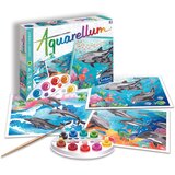 Sentosphere Aquarellum - Delfini, (21336716) Cene