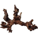 Ukrasno drvo Mystic wood XS