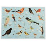 Rex London Sestavljanka (število koščkov 1000) Garden Birds – | Shoptok.si