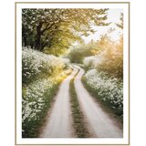 knor Slika 40x50 cm Morning Walk Cene