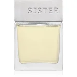 Lemon Cupcake aroma difuzer 110 ml