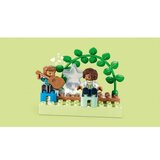 Lego DUPLO® 10994 Družinska hiša 3v1 | Shoptok.si