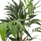 MID.YOU Umetna Rastlina Chamaedorea | Shoptok.si