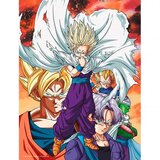 Dragon Ball Stakleni poster Z Heroes vs Cell, 30 x 40 cm | shoptok.hr