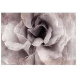  Tapeta - Entrance to Bliss 250x175 | shoptok.hr