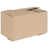 vidaXL Zložljiva škatla 50 kosov 24x13x13 cm Karton | Shoptok.si