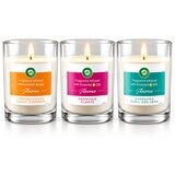 Air Wick Sveče, difuzorji Aroma Duftkerzen-Geschenkset Cene