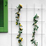 BELLISSA Potporanj za cvijeće (75 x 150 cm, Debljina materijala: 5 mm, Broj podupirača: 5, Srebrne boje) | shoptok.hr
