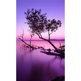 Foto tapete za zid + lepak za tapete - zalazak sunca (popust)