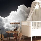  Foto tapeta - Discover the Endless Play of Sunlight – Clouds and Shadows in the Sky 441x315 | shoptok.hr
