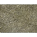 Nobby preja iz konoplje - 100 g | Shoptok.si