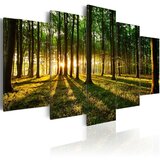  Slika - Adventure in the woods 200x100 Cijene