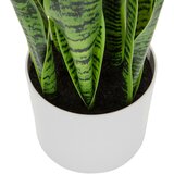 MID.YOU Umetna Rastlina Sansevieria | Shoptok.si