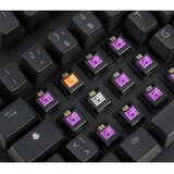 EPICGEAR EG Switch Grey/Orange/Purple 8 Pack | Eponuda.com