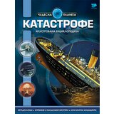 Pčelica Bojan Hodžić Kosorić - Katastrofe ilustrovana enciklopedija Cene