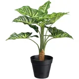 Umetna Rastlina Syngonium Ii Zelena Barva