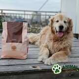 Essential hrana za starije pse male rase bez zitarica older 3kg | ePonuda.com