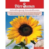 Dürr Samen Sončnice za zeleno gnojenje Cene