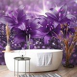  Foto tapeta - Masterpiece of Purple 200x140 | shoptok.hr
