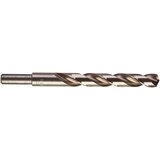 Milwaukee Metal Drill HSS-G Thunderweb 13,0 mm, (21107082) Cene