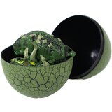  Dinosaur Figurine Egg 3 Colors 9cm | shoptok.hr