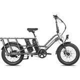 Fafrees Električno delovno kolo FF20 CUV, primerno za družine, dvojna baterija, siva, (5000007884) Cene