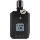 Muški parfem Urban Vibe 100ml