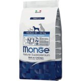 Monge Daily Medium Puppy and Junior, Piletina Cene