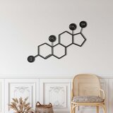 Wallxpert metalni zidni ukras 5238, strukturna formula molekula testosterona, 75 x 52 cm, crni | Eponuda.com