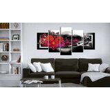  Slika - Gerberas on black background 200x100 | shoptok.hr