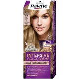 Schwarzkopf Palette Intensive Color Creme trajna boja za kosu nijansa 8-0 N7 Light Blonde Cijene