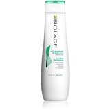 Biolage Scalp Sync Anti Dandruff šampon proti prhljaju 250 ml za ženske Cene