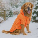 Paws &amp; Whiskers Narandžasti Pas Hoodie Orangecoat Cene
