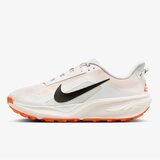 Nike acg pegasus trail | Eponuda.com