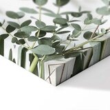  Slika - Eucalyptus Parvifolia (1 Part) Vertical 40x60 | shoptok.hr