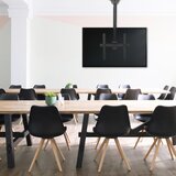 Olimp Sport Plafonski TV nosač 32" do 55" HOLM-55015 | ePonuda.com