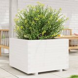 Maison Chic Vrtno cvetlično korito - Cvetlični Lonec belo 70x70x49,5 cm trdna borovina, (21788666) | Shoptok.si