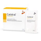 Vemax catidral Cene