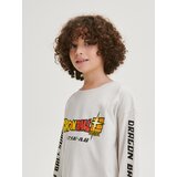 Reserved - Predimenzionirana majica dugih rukava Dragon Ball - light grey | shoptok.hr