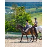 Poljska, odmor pored Krakowa, 2 ili 3 noćenja za 2 osobe s doručkom, wellnessom i posjetom konjušnici - Hotel Szary Residence | shoptok.hr