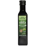 Ulje konoplje BIO | Eponuda.com