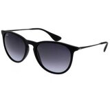 Ray-ban rb4171-622/8g 54 erika | Eponuda.com