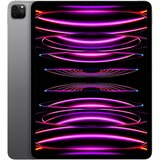Apple 12.9-inch ipad pro (6th) wi_fi 1TB - space grey (mnxw3hc/a) | ePonuda.com