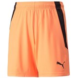 Puma Kratke hlače & Bermuda 70493121 pisana Cene
