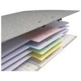 kartonska 24x10,5cm pk100 exacompta 13395E 8 boja