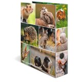 Herma registrator Animals, A4, 70 mm, glodalci | Shoptok.si