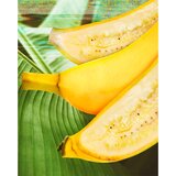 Garnier fructis hair food banana hranjivi šampon za suhu kosu 350 ml za žene | shoptok.hr